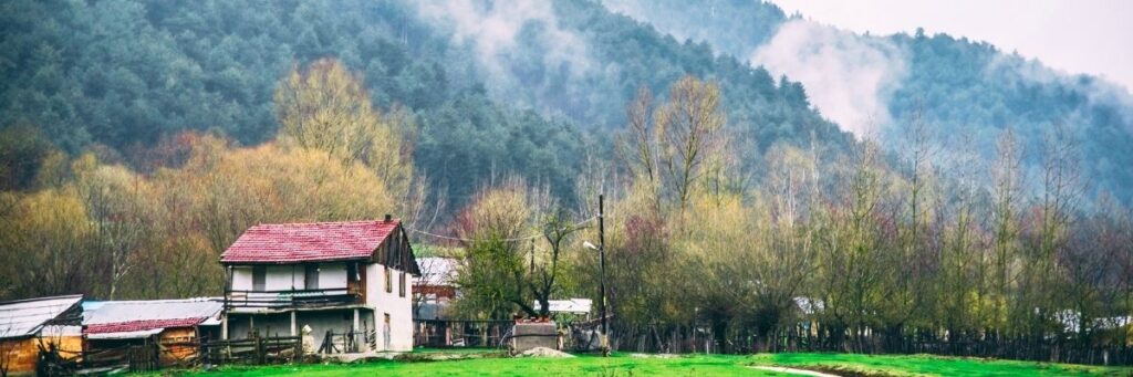 Doğal Yaşam Nedir, Evde Nasıl Uygulanır