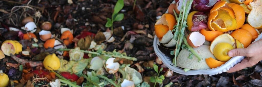 Evde Kompost Kutusu Nasıl Yapılır