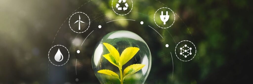 Ekolojik Ürün Sertifikaları