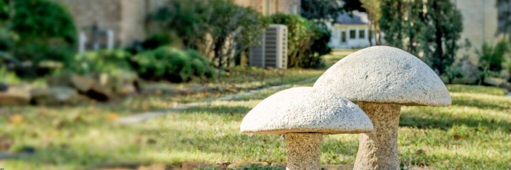 Mantar ve Taş Dekorasyon